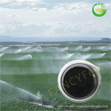 Liquid Organic NPK Foliar Fertilizer in Agriculture